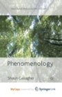 Image for Phenomenology