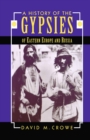 Image for A history of the gypsies of Eastern Europe and Russia