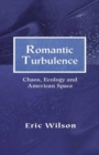 Image for Romantic turbulence: chaos, ecology, and American space
