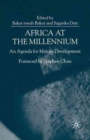 Image for Africa at the Millennium
