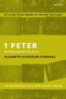 Image for 1 Peter: an introduction and study guide : reading against the grain