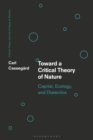 Image for Towards a Critical Theory of Nature: Capital, Ecology, and Dialectics