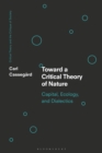 Image for Towards a critical theory of nature  : capital, ecology, and dialectics