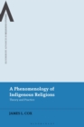 Image for A phenomenology of indigenous religions  : theory and practice