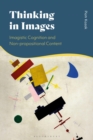 Image for Thinking in Images