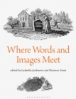 Image for Where words and images meet