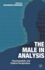 Image for The male in analysis: psychoanalytic and cultural perspectives