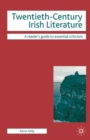 Image for Twentieth-century Irish literature