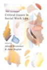 Image for Critical issues in social work law