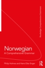 Image for Norwegian: a comprehensive grammar