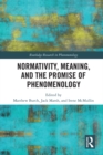 Image for Normativity, meaning, and the promise of phenomenology : 13