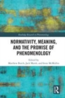 Image for Normativity, meaning, and the promise of phenomenology