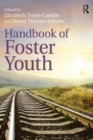 Image for Handbook of foster youth