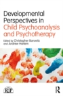 Image for Developmental perspectives in child psychoanalysis and psychotherapy