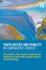 Image for Youth justice and penality in comparative context