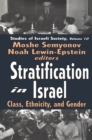 Image for Stratification in Israel: class, ethnicity, and gender