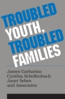 Image for Troubled Youth, Troubled Families: Understanding Families at Risk for Adolescent Maltreatment