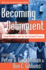 Image for Becoming delinquent: young offenders and the correctional process