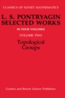 Image for Topological Groups : v. 2