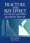 Image for Fracture and size effect in concrete and other quasibrittle materials : 16