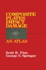 Image for Composite plates impact damage: an atlas