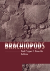 Image for Brachiopods past and present