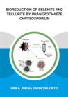 Image for Bioreduction of selenite and tellurite by phanerochaete chrysosporium