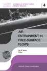 Image for Air Entrainment in Free-Surface Flows : 4