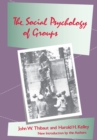 Image for The social psychology of groups