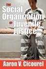 Image for The social organization of juvenile justice