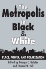 Image for The metropolis in black and white: place, power and polarization