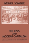 Image for Jews and Modern Capitalism