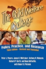 Image for The child welfare challenge: policy, practice, and research