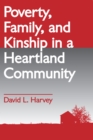 Image for Poverty, family, and kinship in a heartland community