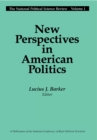 Image for New Perspectives in American Politics