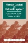 Image for Human capital or cultural capital?: ethnicity and poverty groups in an urban school district