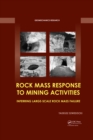 Image for Rock mass response to mining activities: inferring large-scale rock mass failure