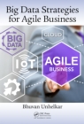 Image for Big Data Strategies for Agile Business