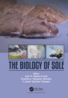 Image for The biology of sole