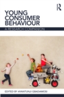 Image for Young consumer behaviour: a research companion