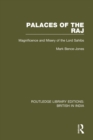 Image for Palaces of the raj: magnificence and misery of the lord sahibs