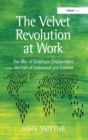 Image for The velvet revolution at work: the rise of employee engagement, the fall of command and control