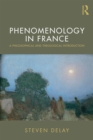 Image for Phenomenology in France: a philosophical and theological introduction