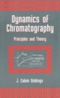 Image for Dynamics of Chromatography: Principles and Theory