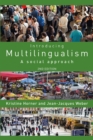 Image for Introducing multilingualism: a social approach