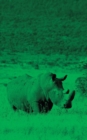 Image for Alive! white rhino - Green duotone - Photo Art Notebooks (5 x 8 series)