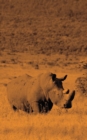 Image for Alive! white rhino - Sepia - Photo Art Notebooks (5 x 8 series)