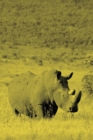 Image for Alive! white rhino - Yellow duotone - Photo Art Notebooks (6 x 9 version)