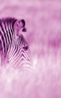 Image for Alive! zebra stripes - Magenta duotone - Photo Art Notebooks (5 x 8 series) : by Photographer Eva-Lotta Jansson