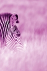 Image for Alive! zebra stripes - Magenta duotone - Photo Art Notebooks (6 x 9 series) : by Photographer Eva-Lotta Jansson